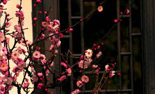 开云Kaiyun官方网站