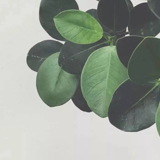 开云Kaiyun官方网站