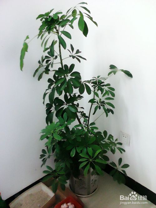 ‘ky开元’第7746章 万壑海沟