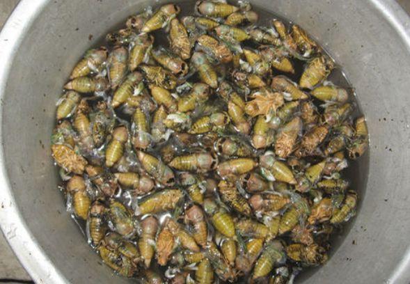 因你而精彩 41名新人加盟中国建筑西北设计研究院‘开云Kaiyun官方网站’(图2) 开云