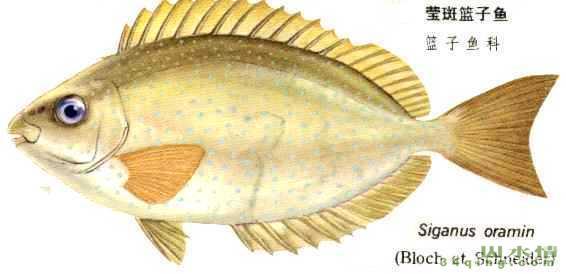 ‘开云’第199章 震慑全场