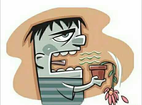 红牛在纽约开了一家专卖设计品的礼品店-ky开元