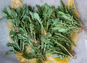 生态住宅的建筑特分类|开云Kaiyun官方网站(图2) 开云Kaiyun官方网站