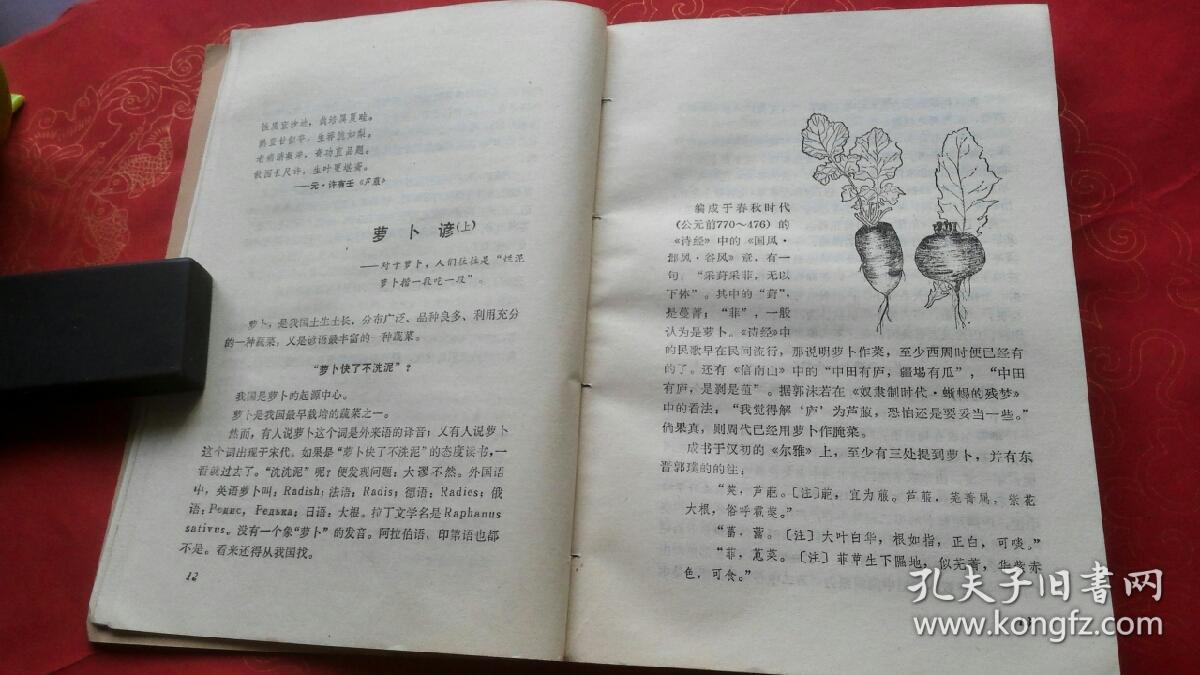 开云Kaiyun官方网站