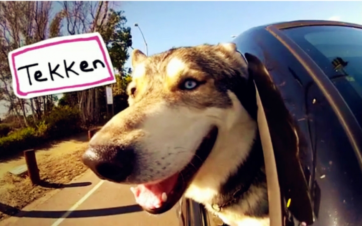 浅析建设工程施工合同管理:开云(图2) 开云Kaiyun官方网站