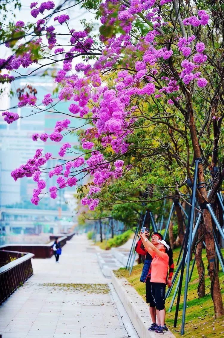 开云Kaiyun官方网站