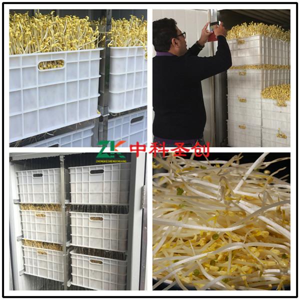 ky开元-辽宁省建筑设计研究院5名设计师当选辽宁省“杰出青年建筑师”和“杰出青年勘察设计工程师”(图1) 开云