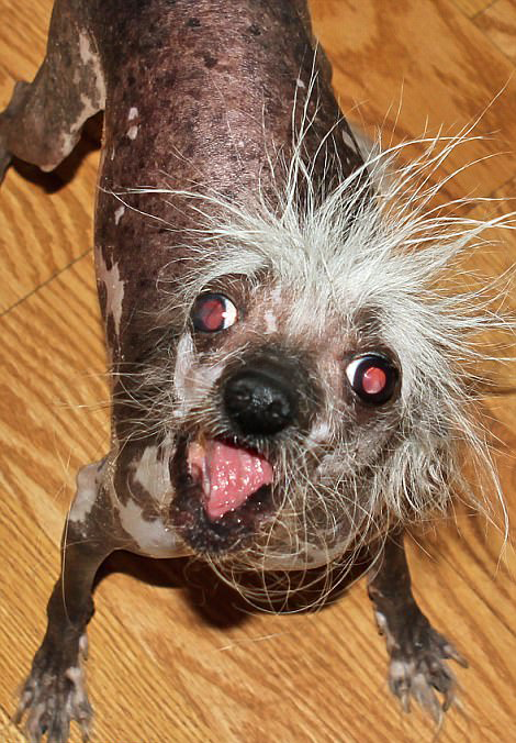 开云_第1968章 大战爆发!(求订阅!)