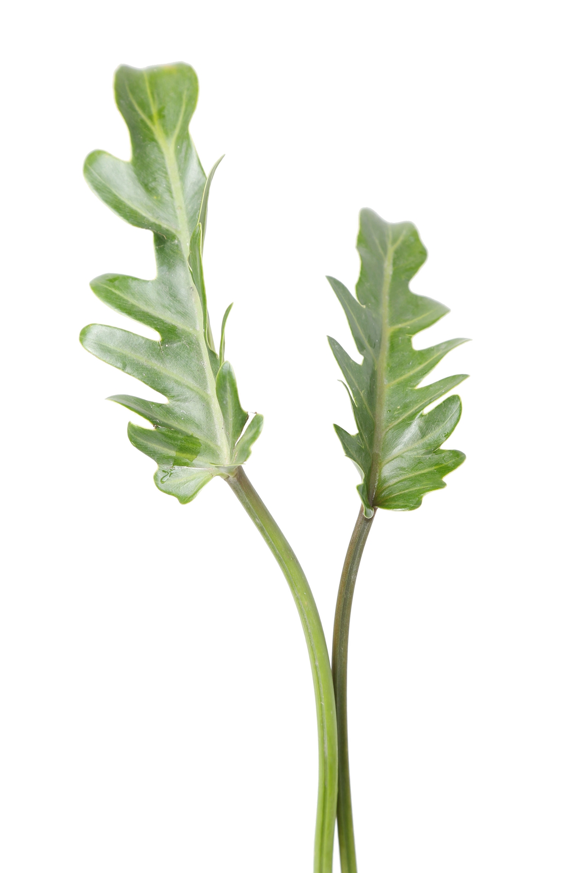 天津大学“高颜值”新图书馆启用-ky开元(图1) 开云