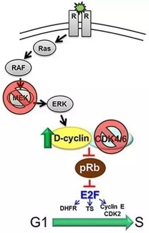 开云Kaiyun官方网站