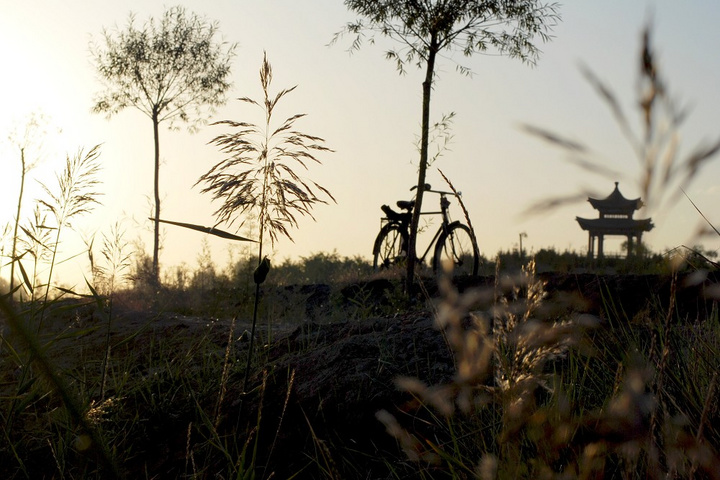 “ky开元”第1243章 不要脸的爹娘(图1) 开云