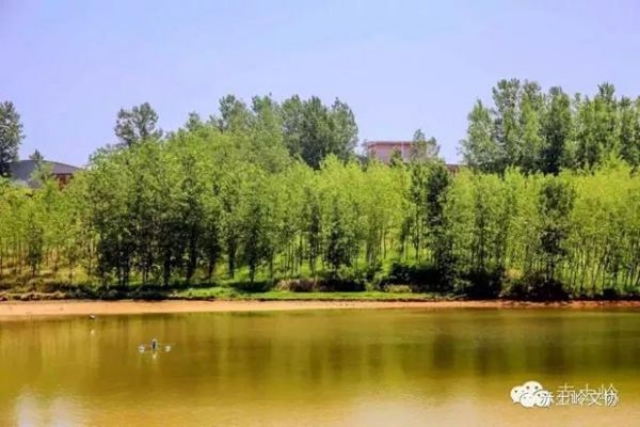 真坦承 圭贤训练中消失是去整容 Dana承认在恋爱‘开云Kaiyun’