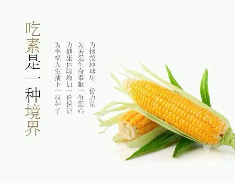 开云Kaiyun官方网站